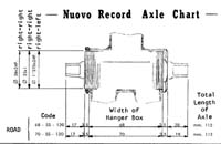 p13 NR spindles